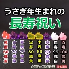 長寿祝い干支置物うま（還暦 古希 喜寿 傘寿 米寿 卒寿 白寿 百寿）358 長寿祝い干支置物うま（還暦 古希 喜寿 傘寿 米寿 卒寿 白寿 百寿）358