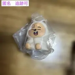 StrayKids スキズ SKZOO ハンクオッカ　ライトマスコット