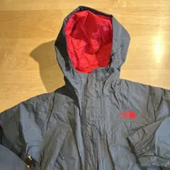 Item thumbnail for item 8137ee54-b144-4126-a066-0e5b05d4fd95