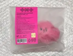 TXT POPUP PPULBATU FACE KEYRING バムグッ