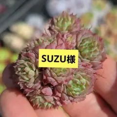 suzu様 リクエスト 2点 まとめ商品