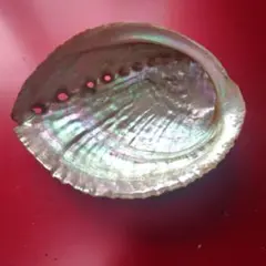 Item thumbnail for item 01e9c7c3-e6a3-47f5-843e-b7ae73f1062f