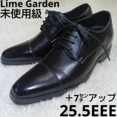 ライムガーデン　Lime Garden 7cm スタイルアップ　ビジネスシューズのサムネイル