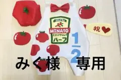 みく様　専用　ケチャップ以上