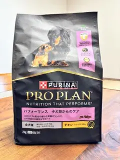 Item thumbnail for item 51b1ea45-7d1b-4321-9fa9-3cbf2b2751a0