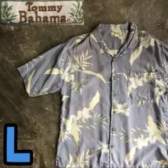 Item thumbnail for item 1cccca2f-fad8-4c05-a2d7-d7ebe0dc0028