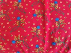 プリント生地☆赤地　青い花