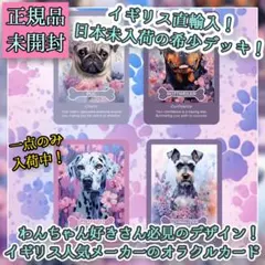 【正規品】入手困難✨キュートな猫づくし✨可愛くて魅惑的な猫たちのオラクルカード 正規品】入手困難✨キュートな猫づくし✨可愛くて魅惑的な猫たちの