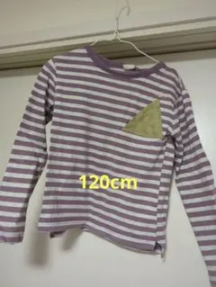 長袖カットソー 紫と白のストライプ 120cm