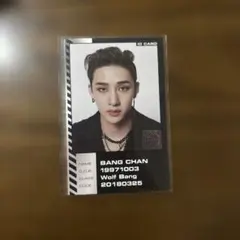 Stray Kids バンチャン BangChan Oddinary 特典トレカ stray kids 未開封 バンチャン トレカ accordion DOIT DO IT