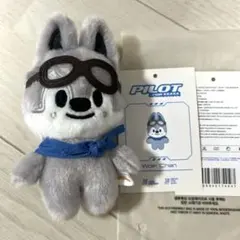 スキズ pilot ペンミ バンチャン まとめ売り スキズ バンチャン Wolf Chan ネームタグ ペンミ PILOT - メルカリ