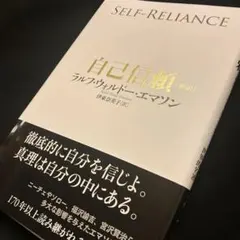 Item thumbnail for item 7a085203-d3e5-476e-8baf-95c83b599b71