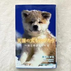 Item thumbnail for item c6c948f6-c277-4f85-af21-5444905ada72