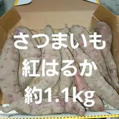 さつまいも 紅はるか 約1.1kg 農薬不使用