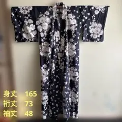 2026 Honeys ハニーズ 浴衣　レトロ　古典柄のサムネイル