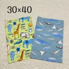 ランチョンマット 30×40 2枚セット　動物園　海の生き物　男の子用　給食用