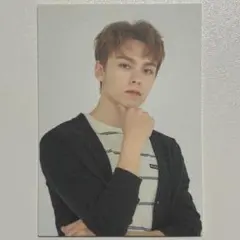 SEVENTEEN セブチカフェ 2020 ディノ トレカ