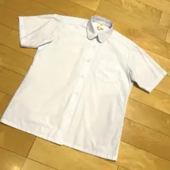 半袖白シャツ　女子白ブラウス　丸襟　ホワイトブラウス　Lサイズ　春夏用白シャツのサムネイル