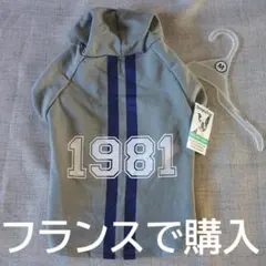 ペット服　犬服　M　ロゴパーカー　新品