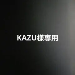 KAZU様専用
