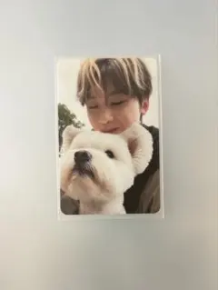 zb1 NEVER SAY NEVER メテュ　犬　トレカ