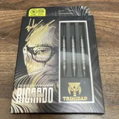 トリニダード リカルド 浅田斉吾モデル 2BA