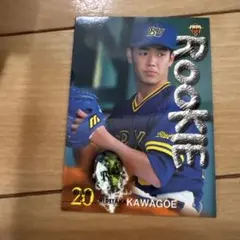 Item thumbnail for item ef79137f-6d80-4321-bee9-4f5288081a63