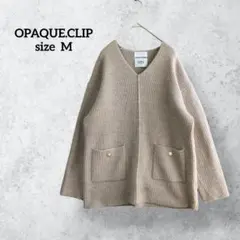 オペークドットクリップ イタリア糸使用 Vネック リブニット ベージュ H781