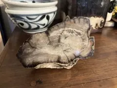 珪化木（木の化石）の置物