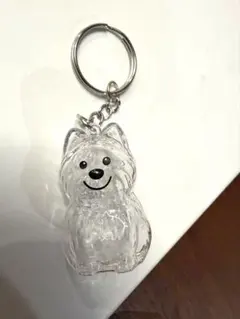 Item thumbnail for item 13eb080b-20f4-4b4b-a0ca-5a3228faadb5