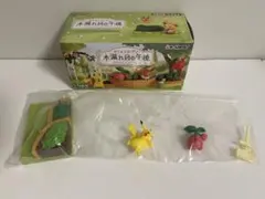 ポケモンガーデン 木漏れ日の午後 ピカチュウ チェリンボ ポケットモンスター