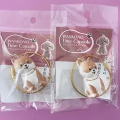わんこのタイムカプセル まめ　ガチャ　柴犬