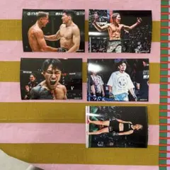 Item thumbnail for item 646ffb30-0ad0-4533-8d10-2d5d4a864cd3