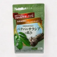 Item thumbnail for item 203902e1-b7d1-4719-b45c-58f764ae752f