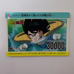 ドラゴンボールZ PPカード 孫悟飯 30000 アマダ 当時物 美品 - メルカリ