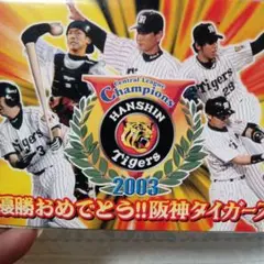阪神タイガース 2003年中央リーグチャンピオン記念カードセット