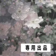 ろあ様 専用ページ