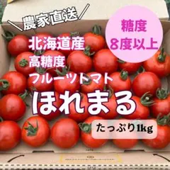 北海道産 高糖度フルーツミニトマト ほれまる 1kgのサムネイル