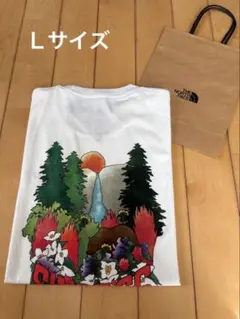 THE NORTH FACE カラフルグラフィックTシャツ