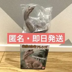（匿名・即日発送）最強！恐竜フレンズ ブラキオサウルス