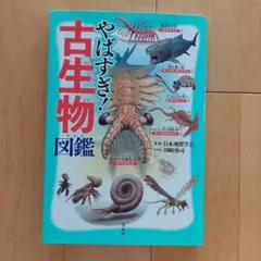 レンレン様 リクエスト 2点 まとめ商品