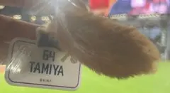 Item thumbnail for item a483d300-6c3e-422d-8c87-ea79013dbb26