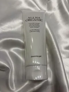 Item thumbnail for item 8d51c17d-b17f-48af-97fc-aa5395466e97