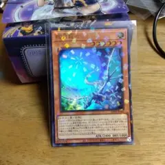 遊戯王　眩月龍セレグレア　スーパーJF20-JP001　ジャンプフェスタ　パック 遊戯王 眩月龍セレグレア スーパーJF20-JP001 ジャンプフェスタ