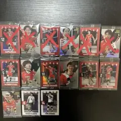 男子バレーボール日本代表　ツインウエハース　カード