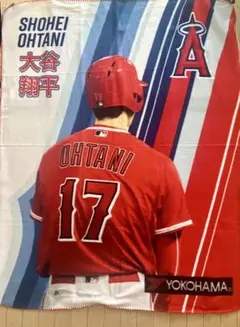 2026年最新】大谷 ブランケットの人気アイテム - メルカリ