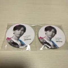 FANTASTICS 堀夏喜 缶バッジ2個セット