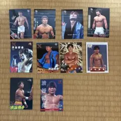 Item thumbnail for item 3002df85-2c54-4cc6-ac30-f550f0b6337c