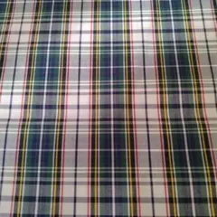 Item thumbnail for item b3795aa5-f662-4e9c-b3b9-a013e51bc608