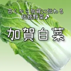 tti_hhi_rro192様 リクエスト 6点 まとめ商品